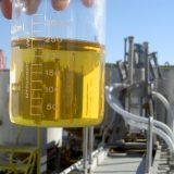 biodiesel plant w ethanol in beaker
