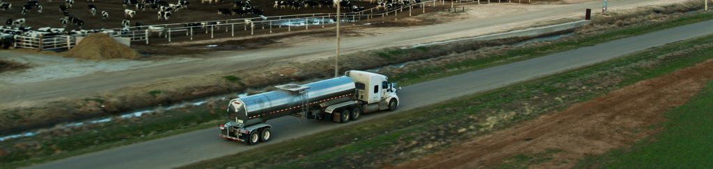 Cropped Aerial shot of a milk tanker driving along a road between dairy farms, collecting milk in the evening, Milk Transporters Face Myriad Challenges