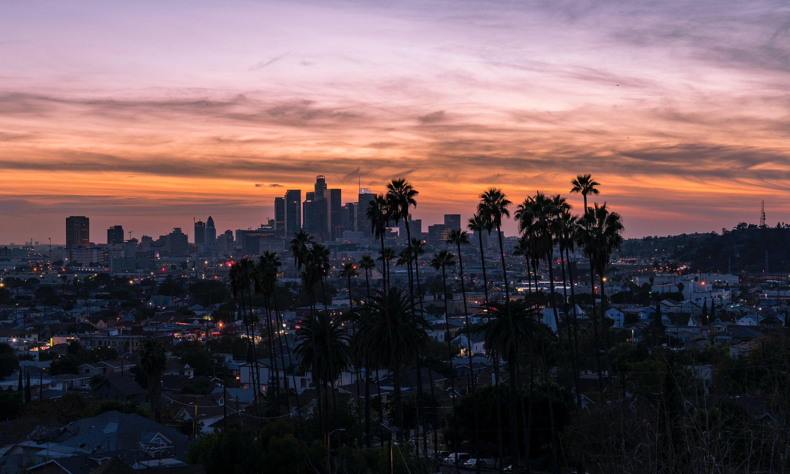 LA City Landscape Photo by Sterling Davis on Unsplash