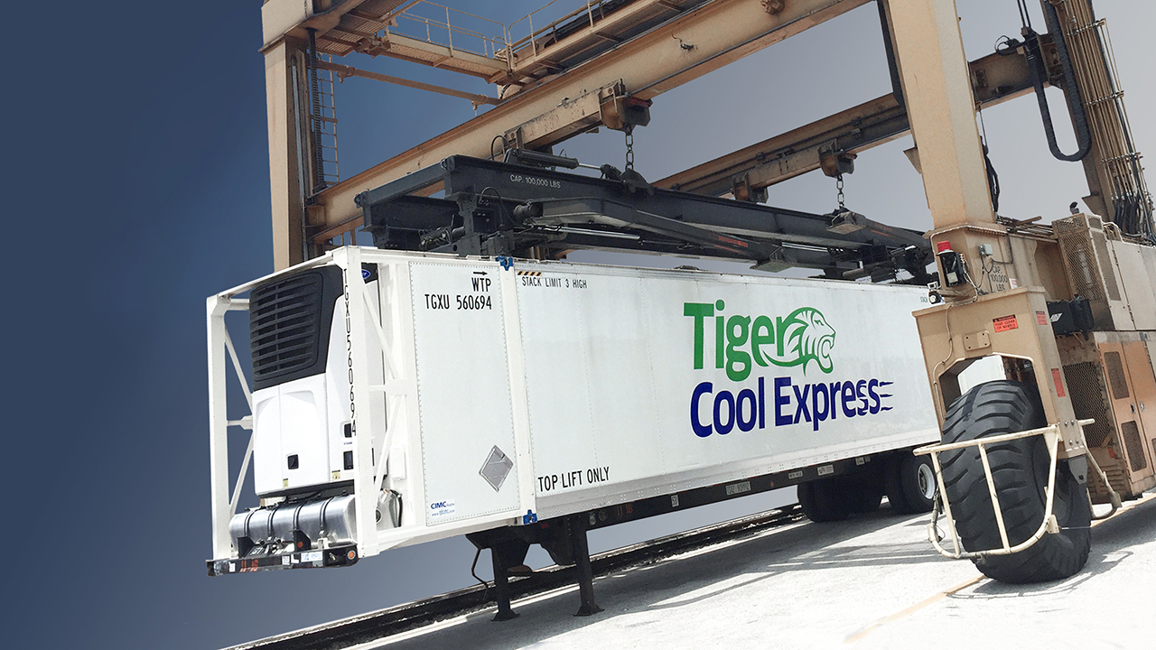 Tiger Cool Express Intermodal Trailer