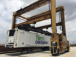 Tiger Cool Express Intermodal Trailer at Docks