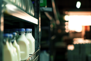 Milk Factory, Supply Chain