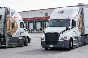 Bison Transport Trucks